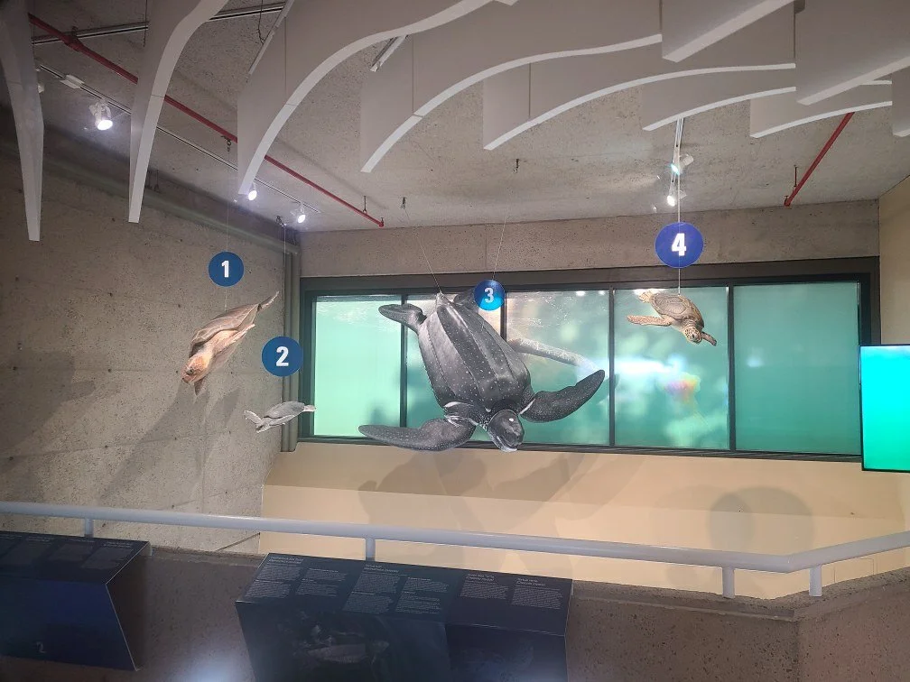 Bedford Institute of Oceanography