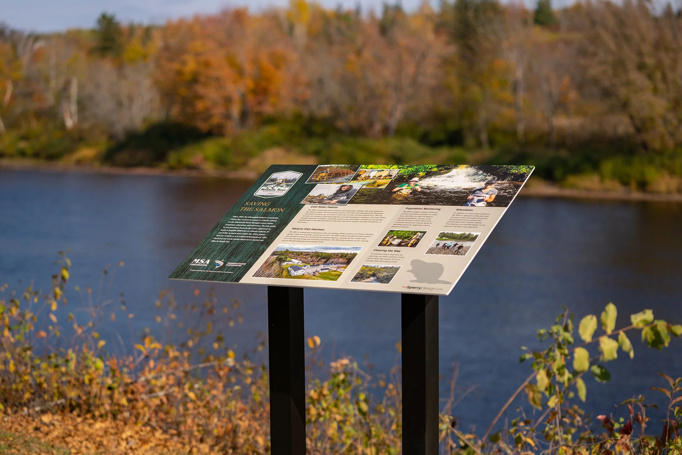 Blackville Oct 2022-01599.jpg