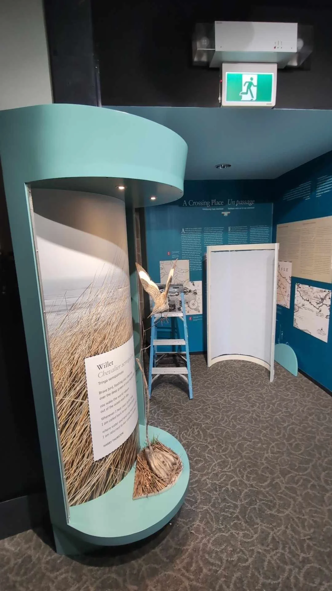 661501c1-54c4-46e8-ac64-0abeefe7427b.jfif