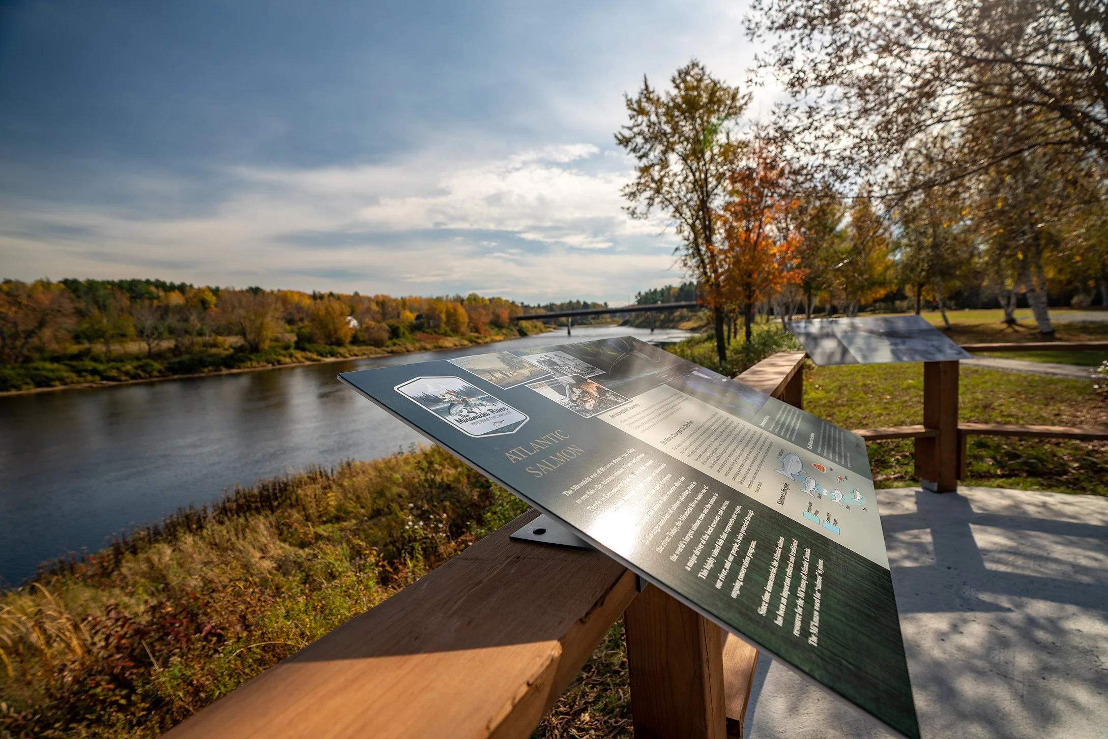 Blackville Oct 2022-01537.jpg