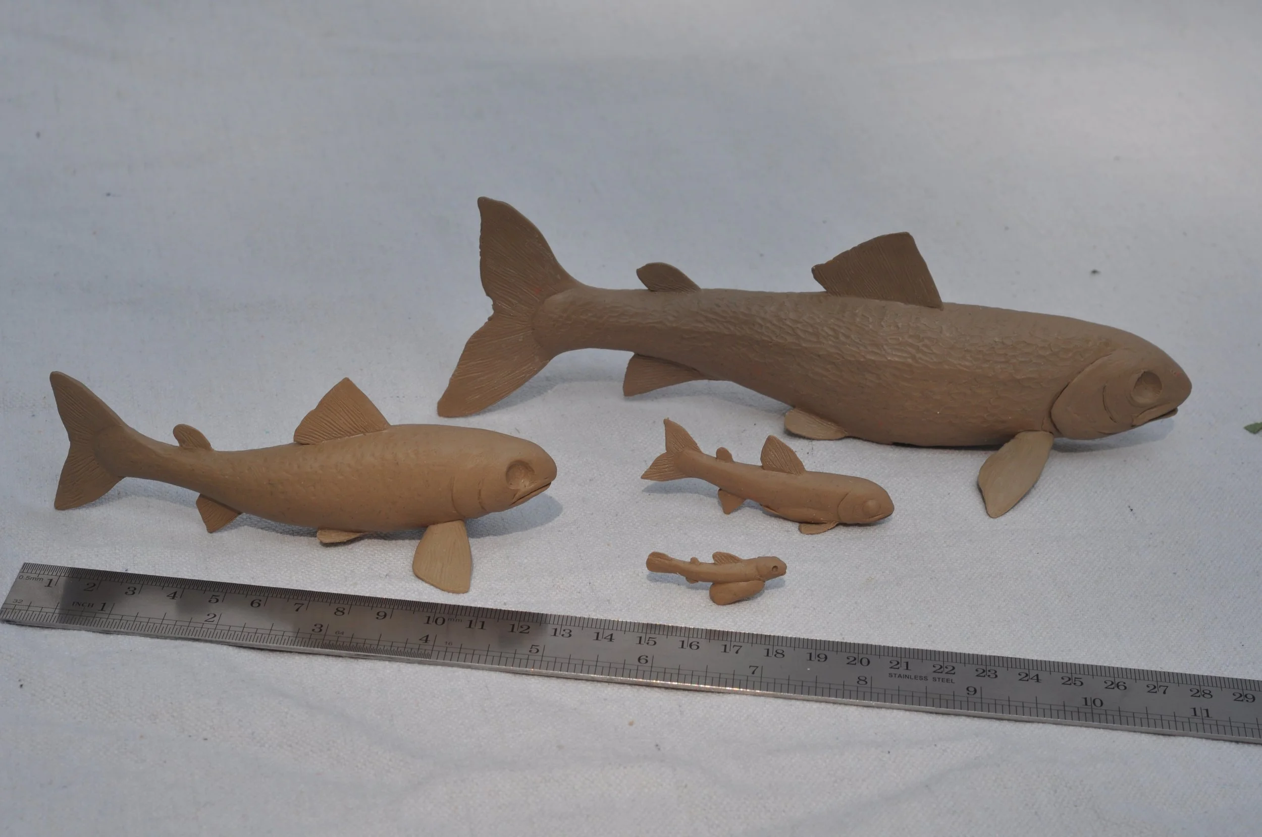 Group Photo-scale.jpg