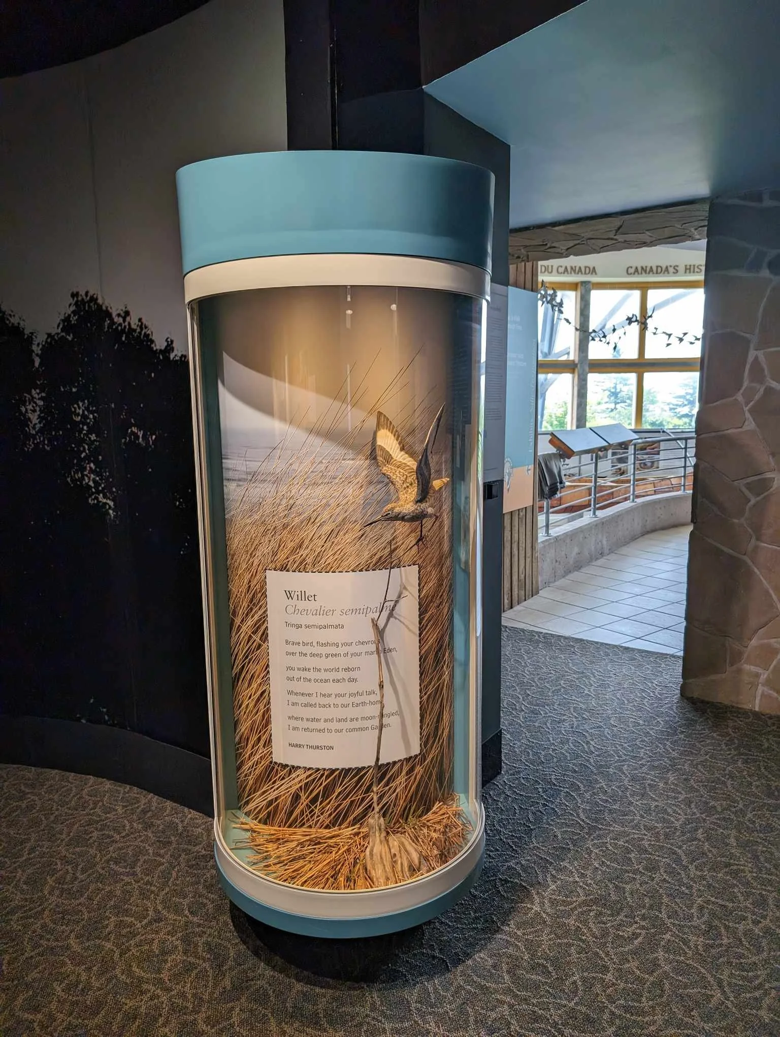 0889cfe9-701f-41cc-aeb3-a14f7f654bae.jfif