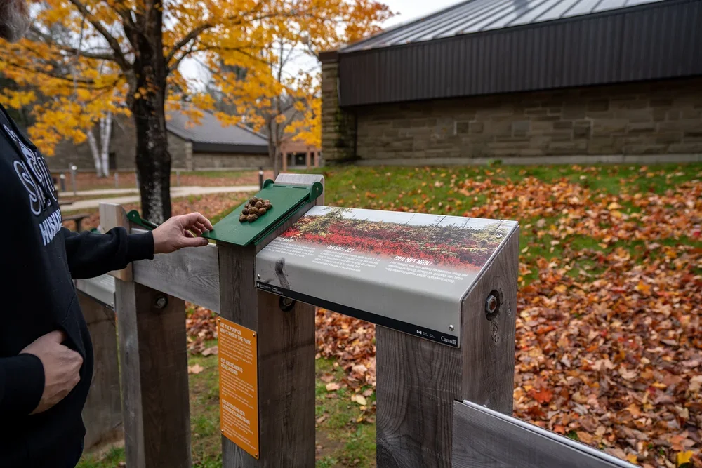 Parcs+Canada+KOUCHIBOUGUAC-02904.webp