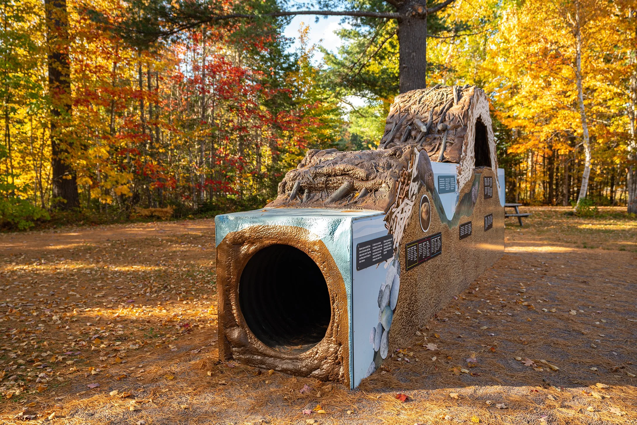 KOUCHIBOUGUAC Oct 2022-01742.jpg