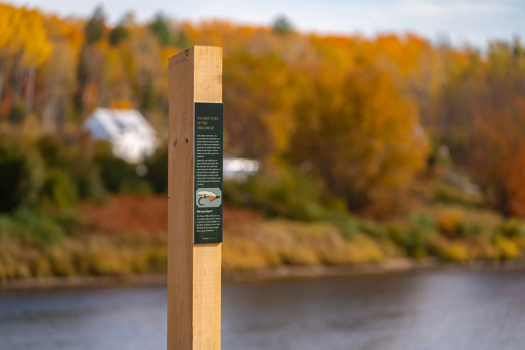 Blackville Oct 2022-01583.jpg