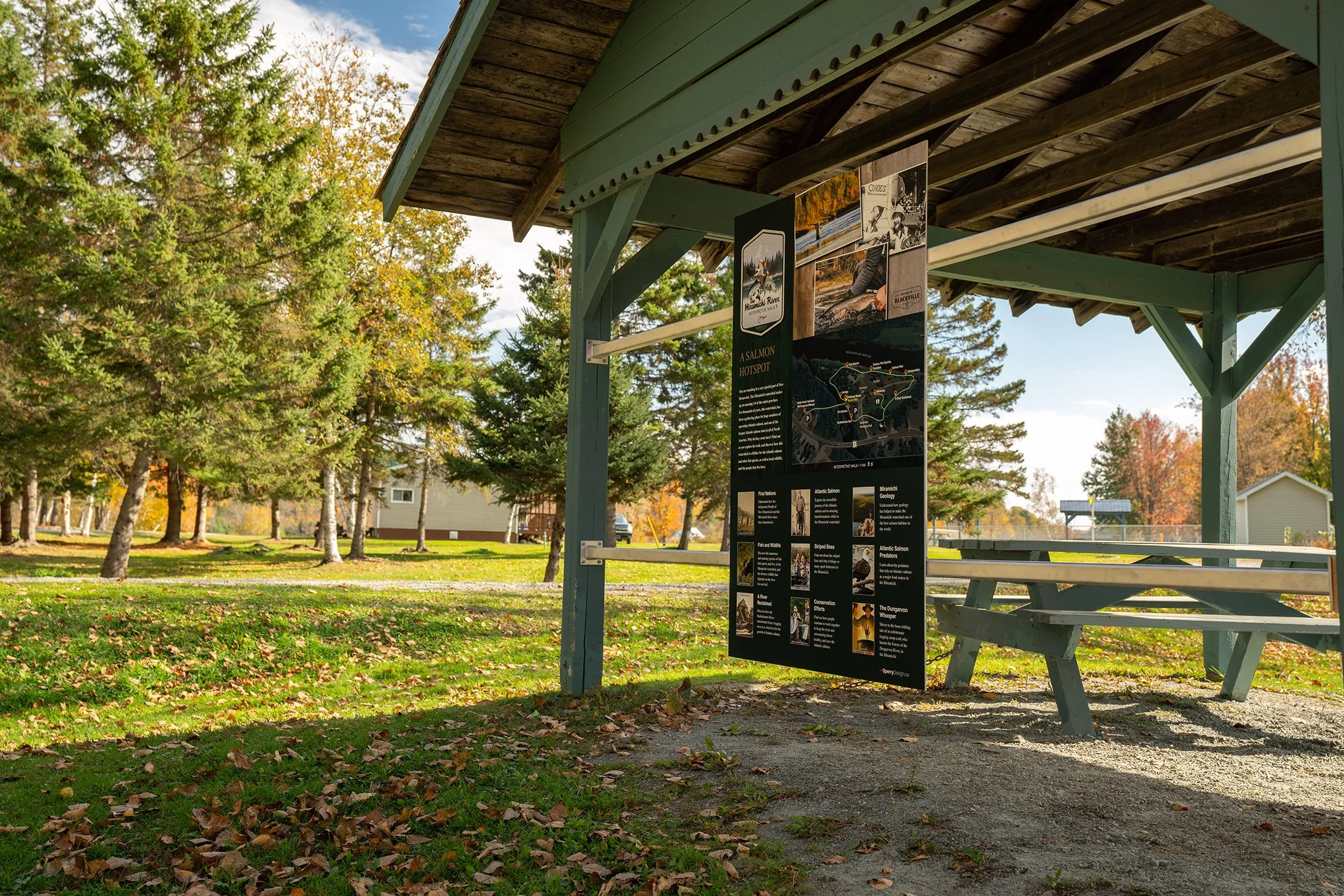 Blackville Oct 2022-01670 2.jpg