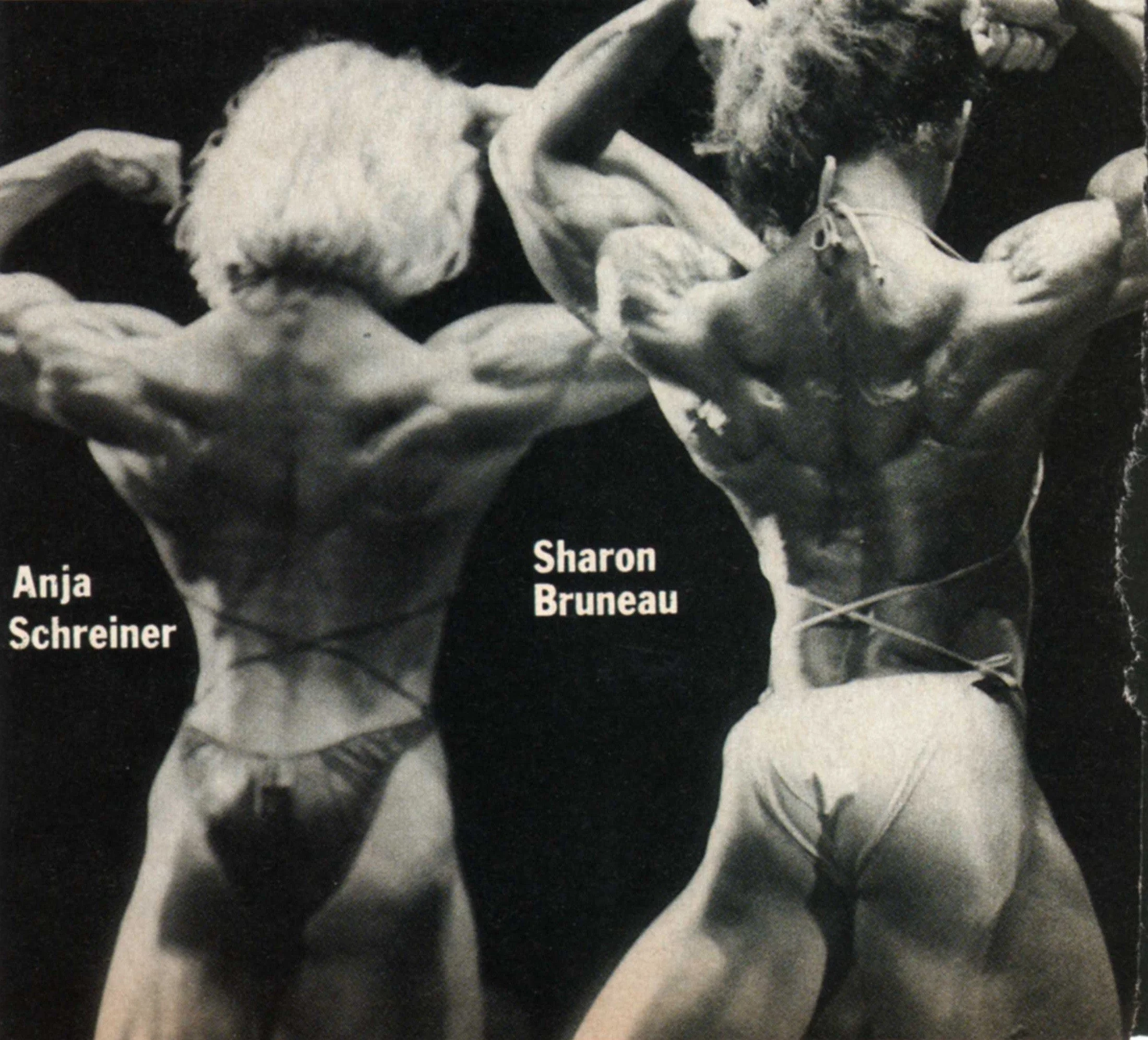 1992 Ms International