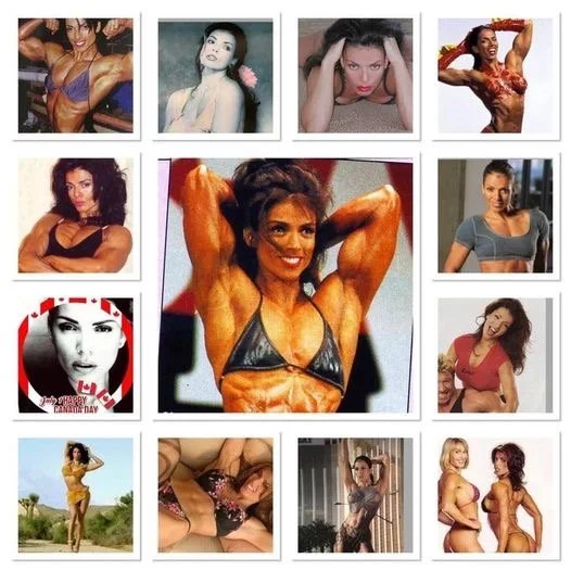Cover Montage