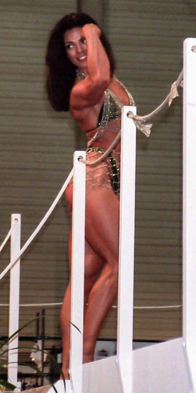 FIBO 1993