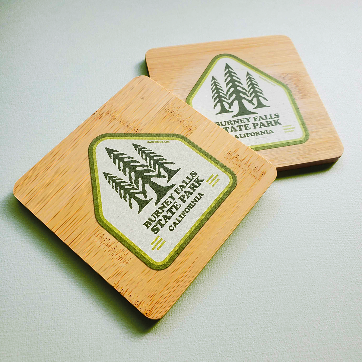 bamboo-coaster-burneyfalls-sm.png
