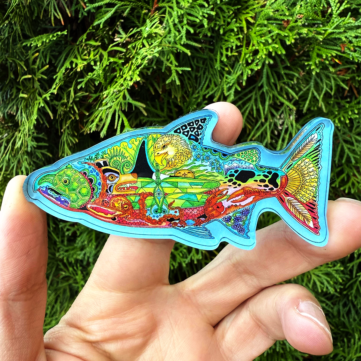 acrylic-magnet-salmon-sm.png