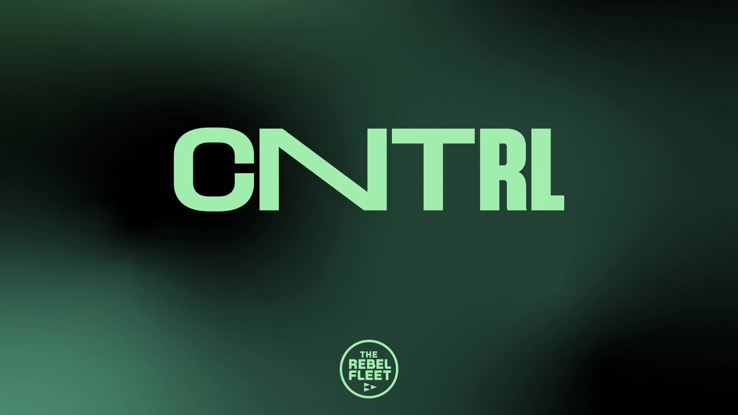 TheRebelFleet_SmallBrandIdentity_1.jpg