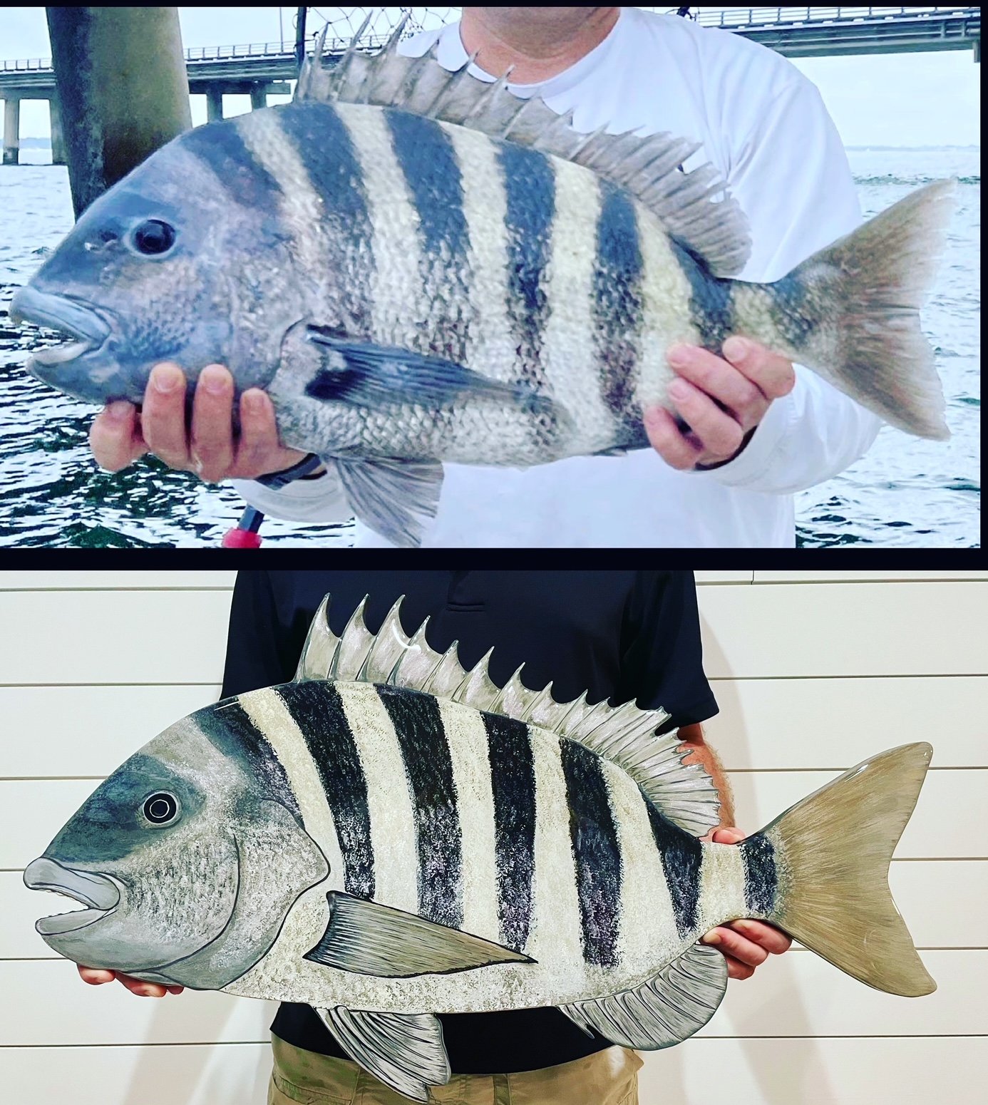 SHEEPSHEAD 