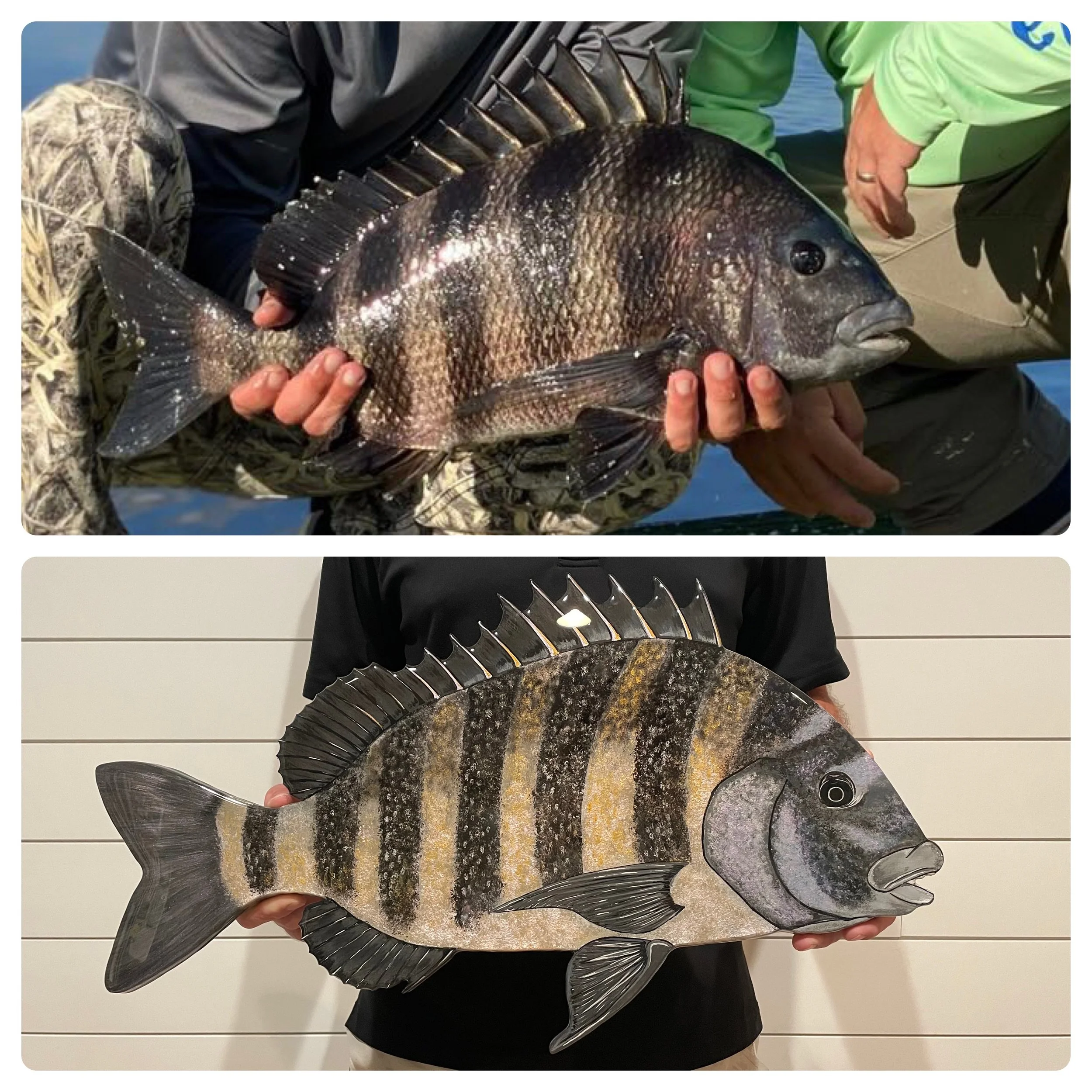 SHEEPSHEAD 