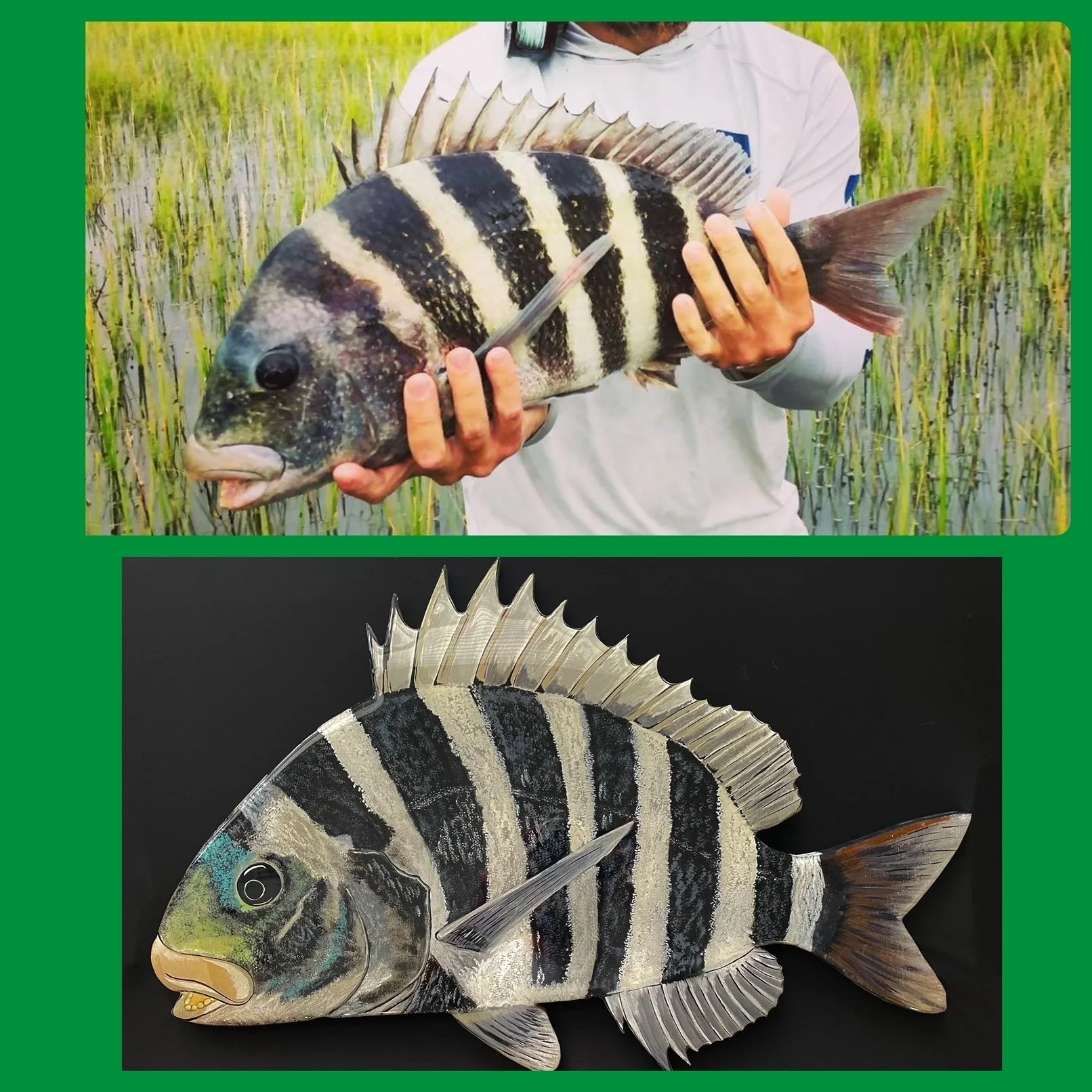 SHEEPSHEAD 