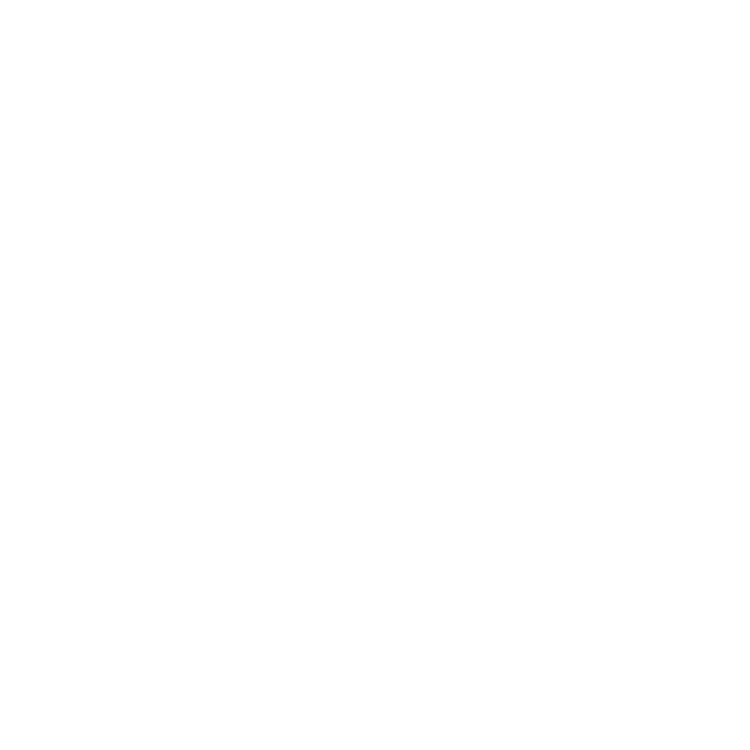 The logo we designed for Belly Dance Tucson. 