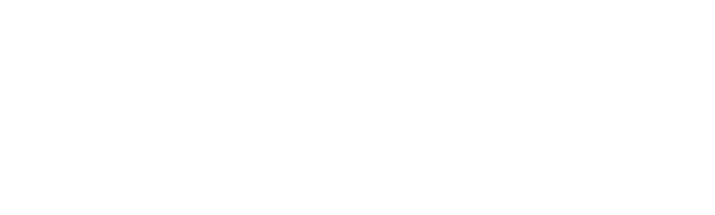 Logo_Dogpatch_Foil_WHITE+copy