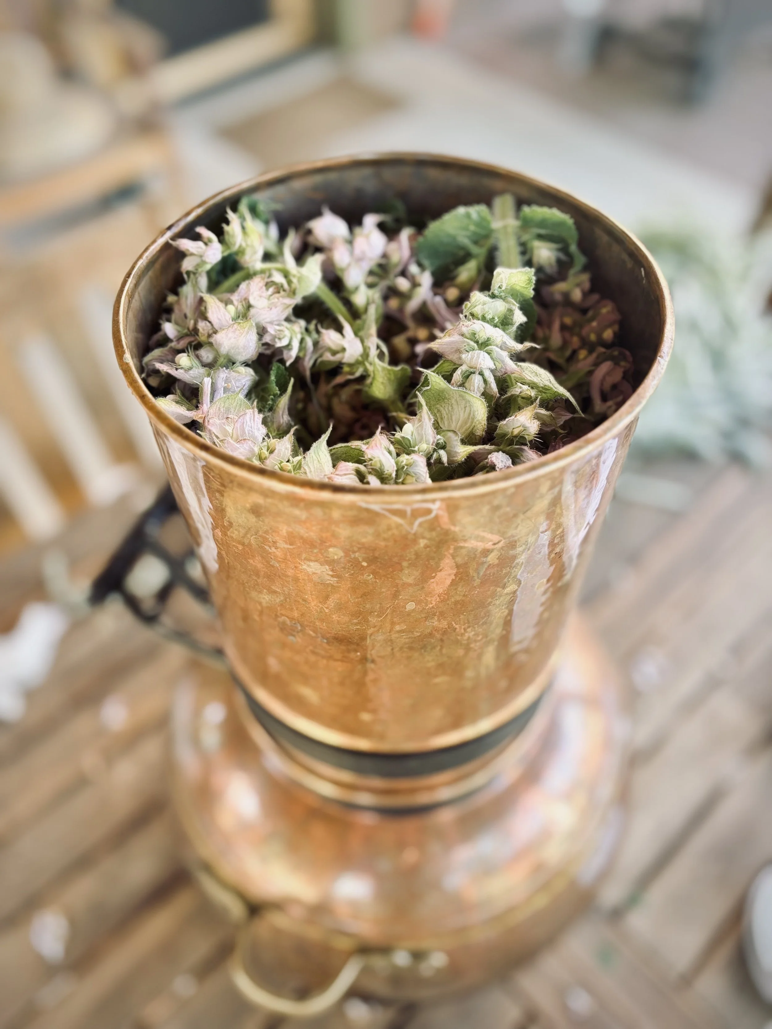 Clary Sage still.jpg