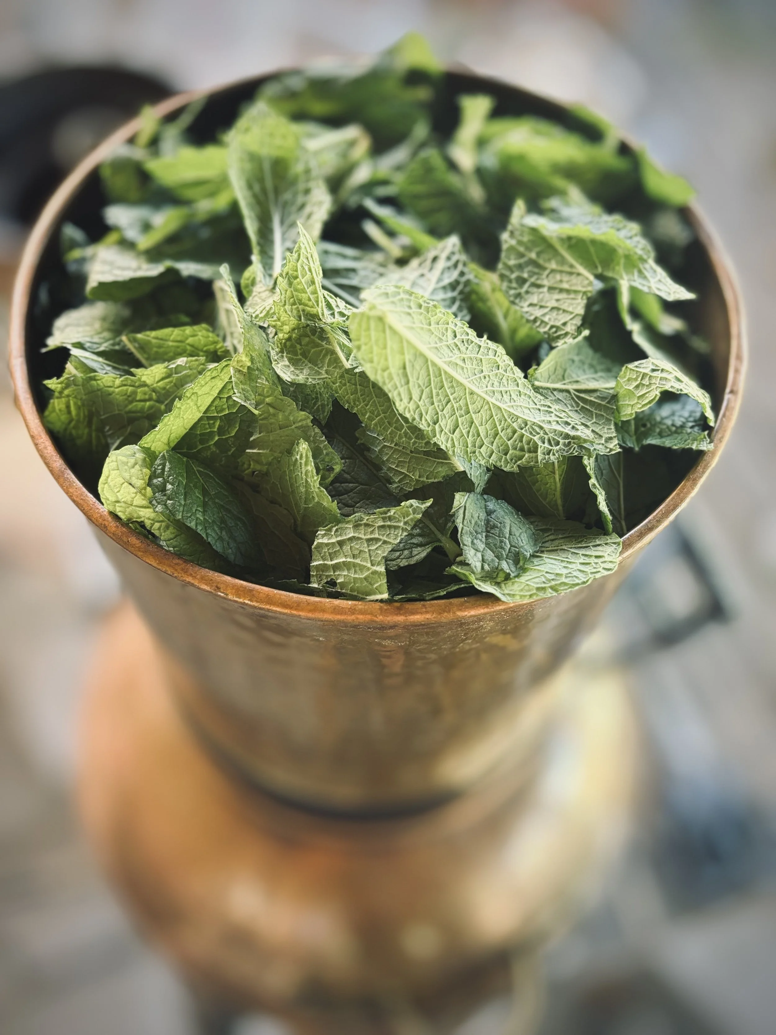 peppermint in the still.jpg