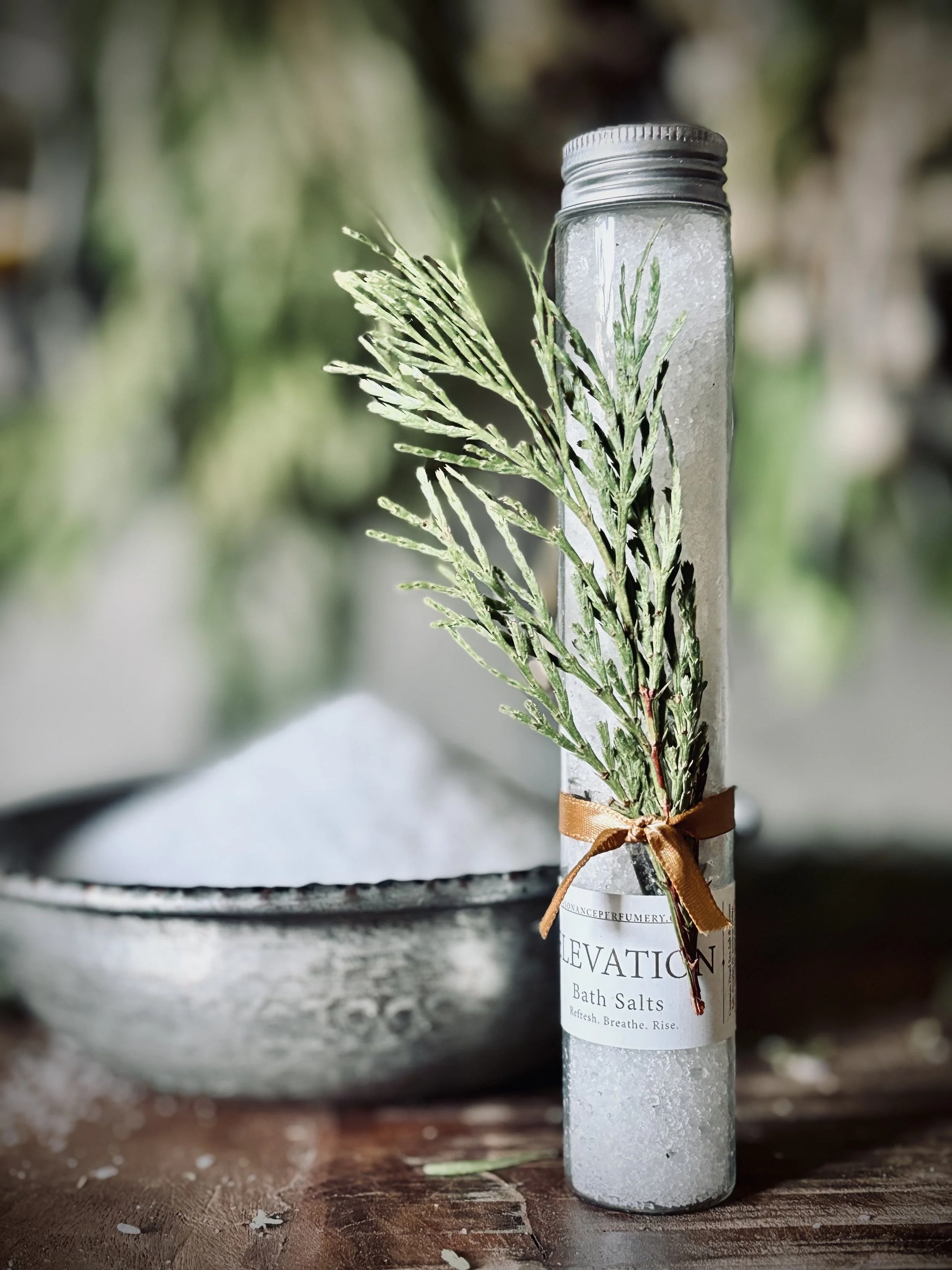 bath salt elevation2.jpg