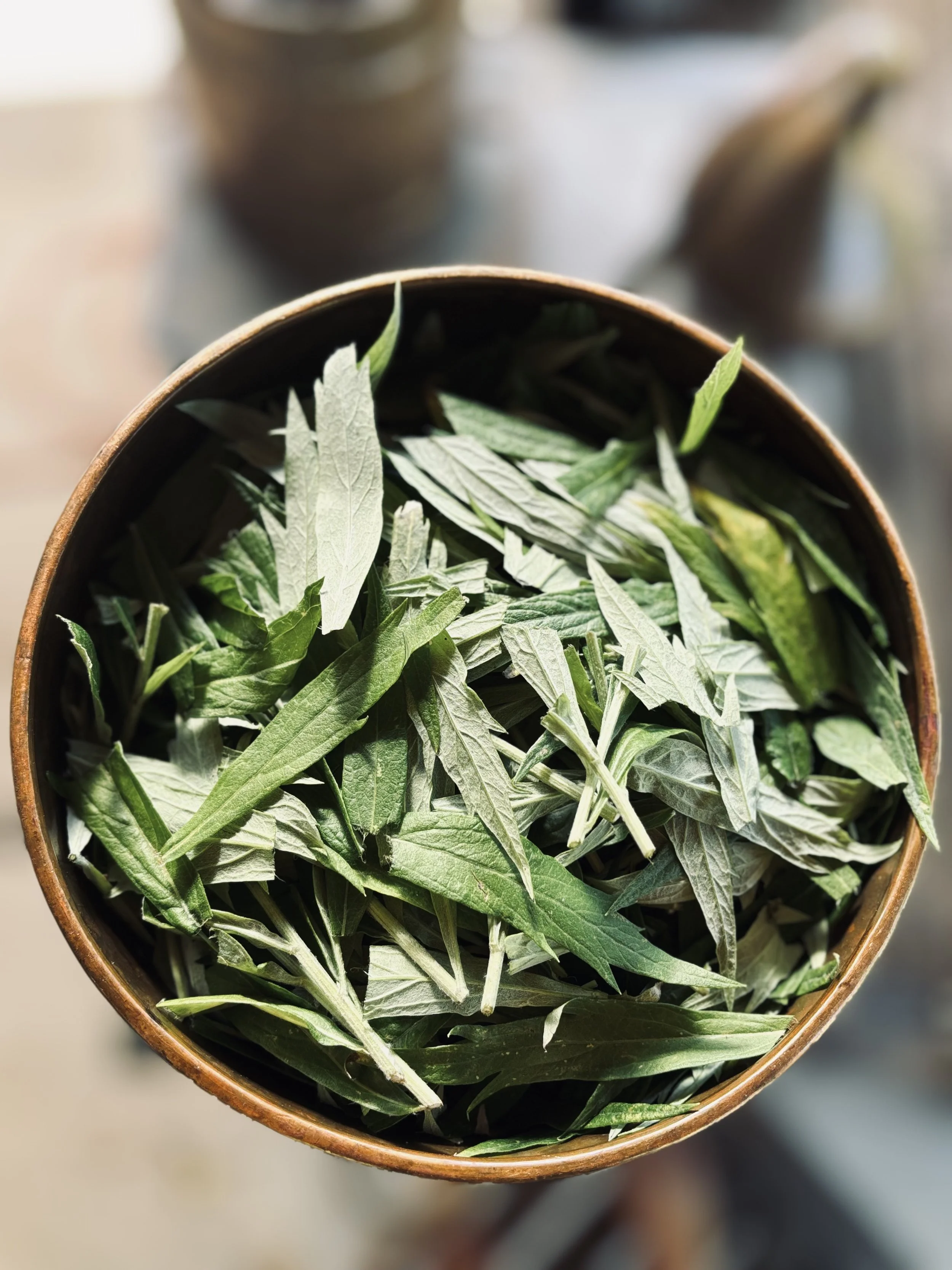 mugwort leaves.jpg