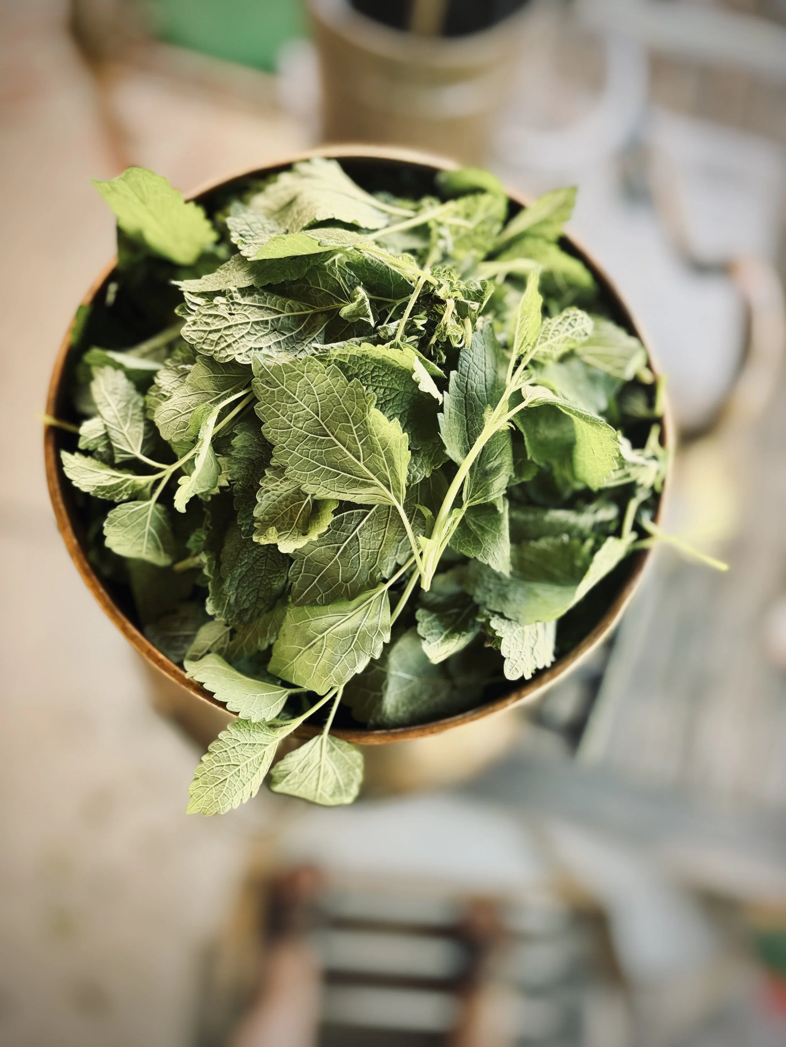 lemon balm.jpg
