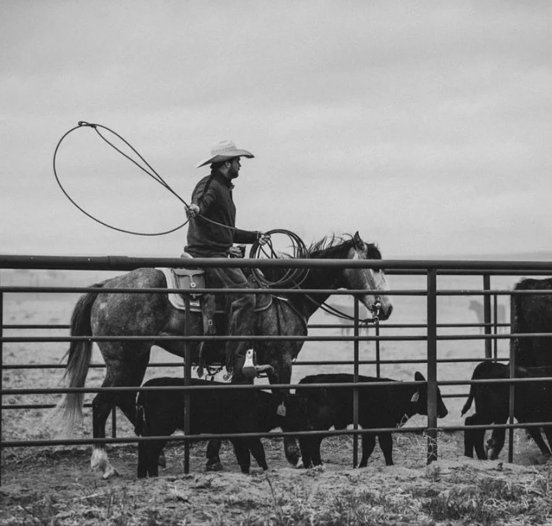 About MultiGenerational Cattle Ranch Deer Trail, CO — Stacked Two