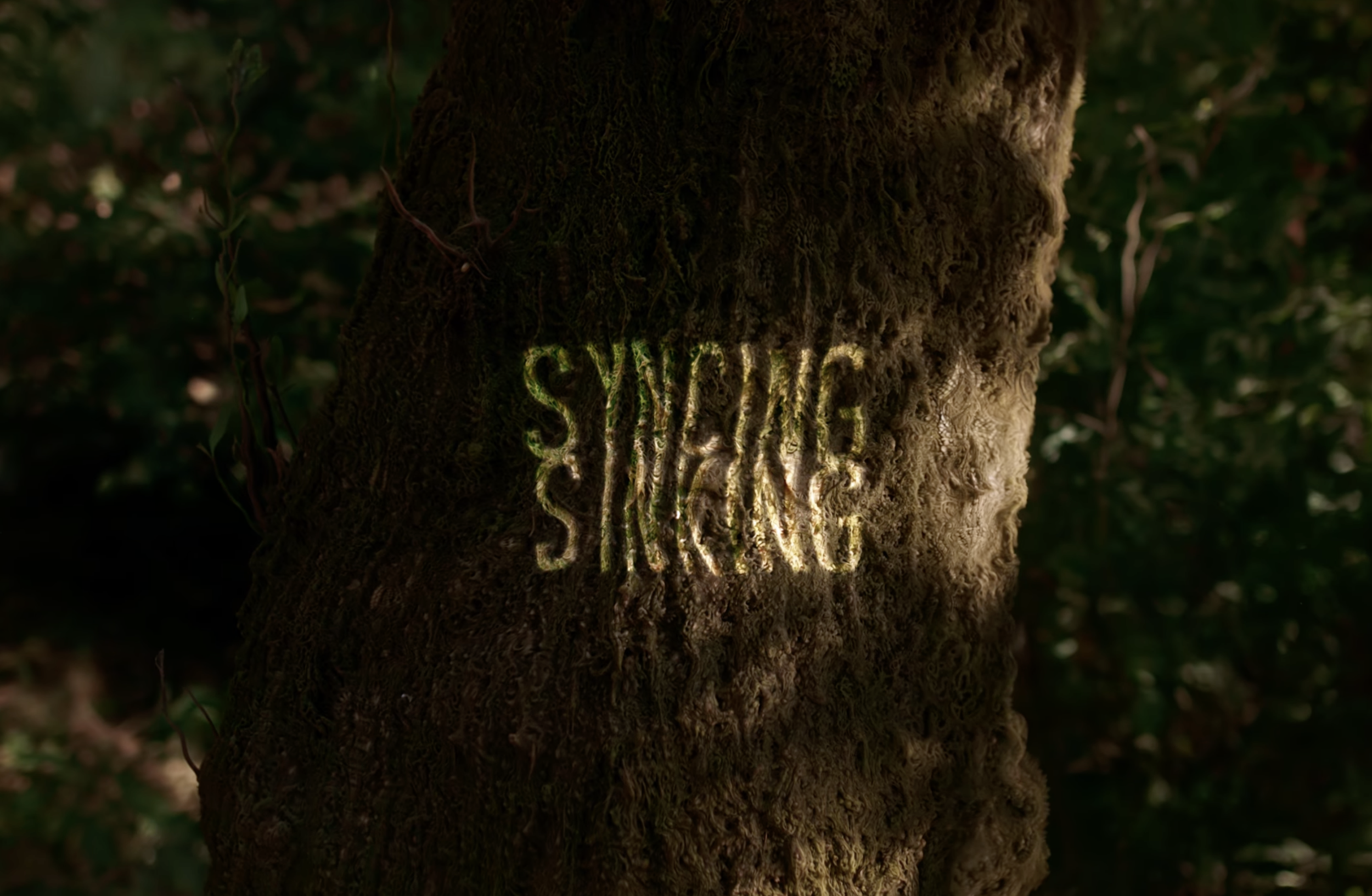 Screenshot 2026-03-31 at 8.06.50 PM.png