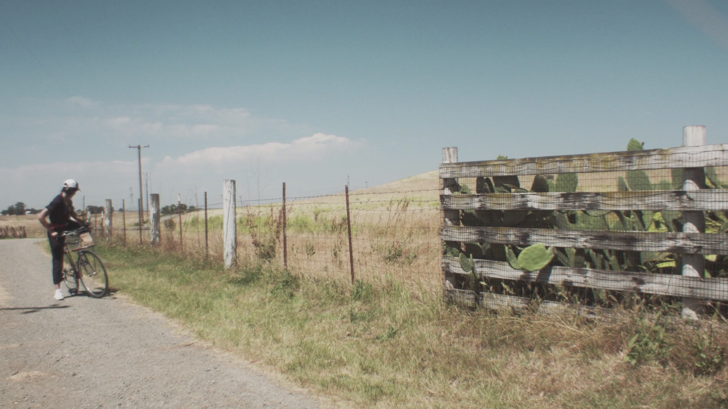 Screenshot 2024-06-19 at 9.27.26 PM.png