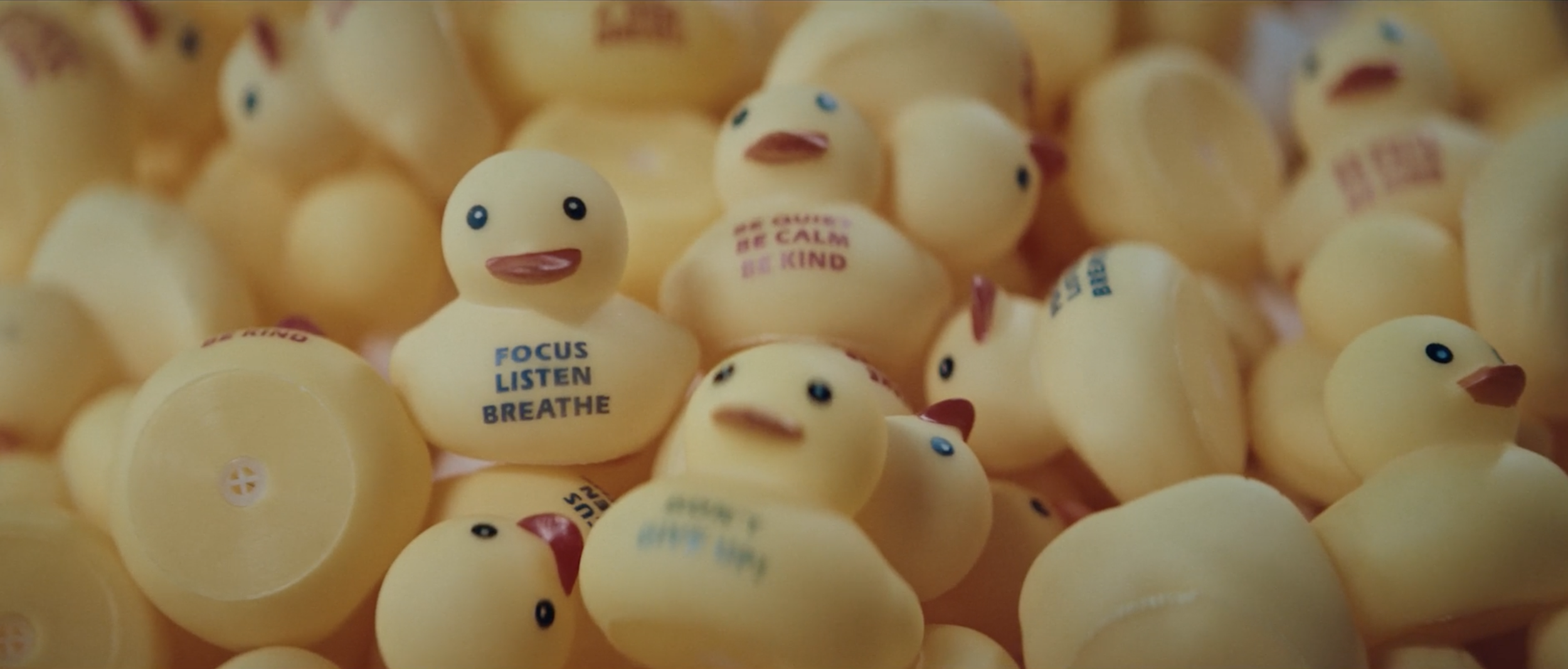 Screenshot 2024-09-16 at 12.08.17 PM.png