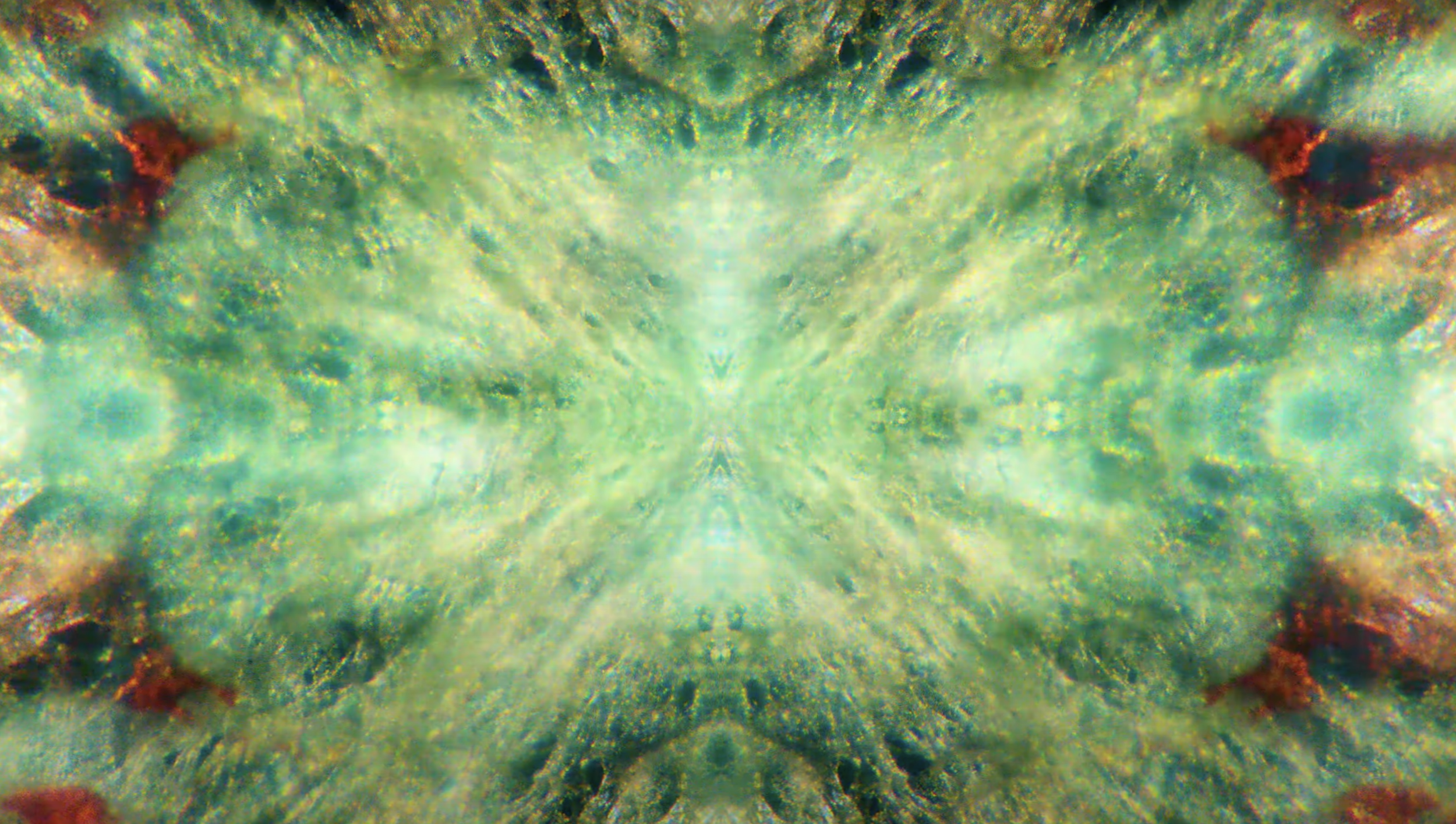 Screenshot 2024-06-08 at 11.55.37 PM.png