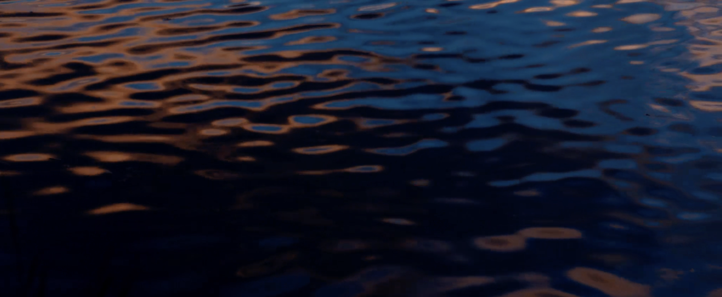 Screenshot 2024-06-19 at 11.05.03 PM.png