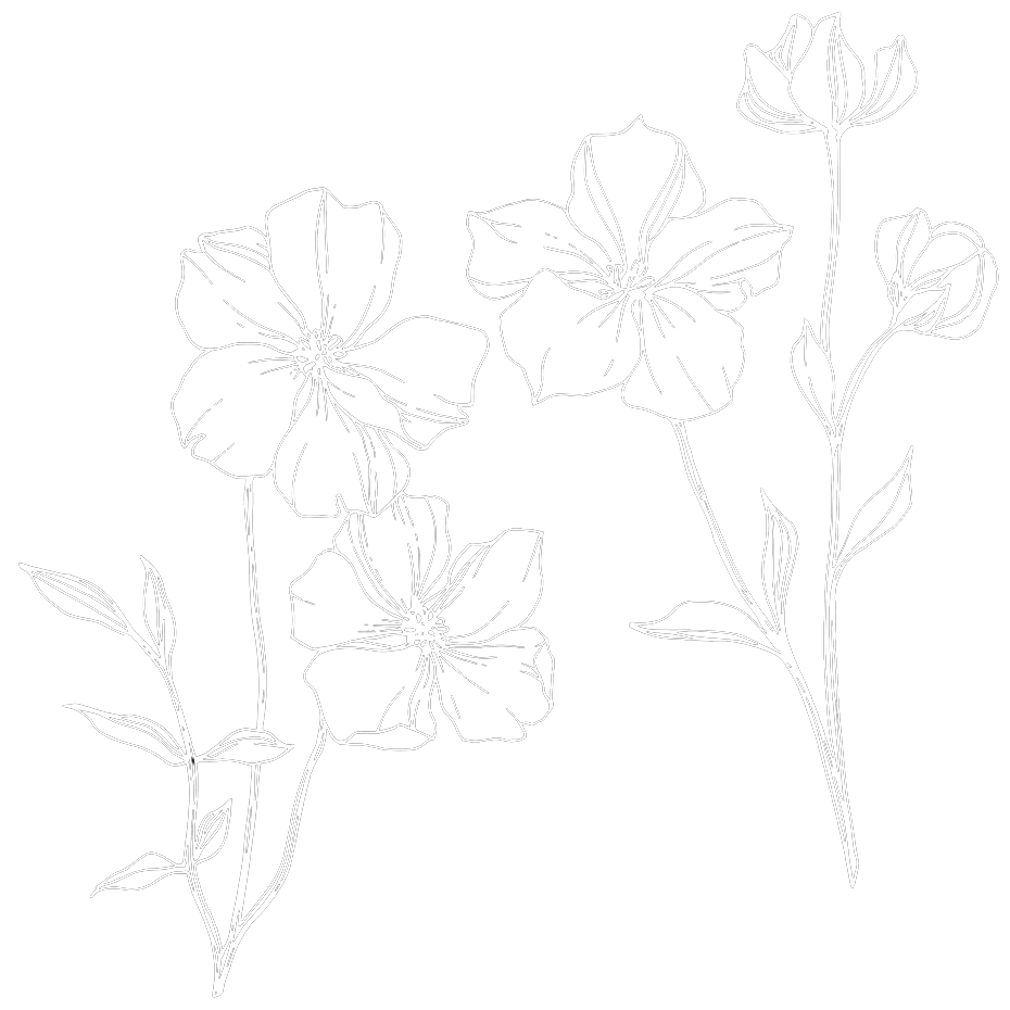 White line drawing of three flowers with leaves on a black background.
