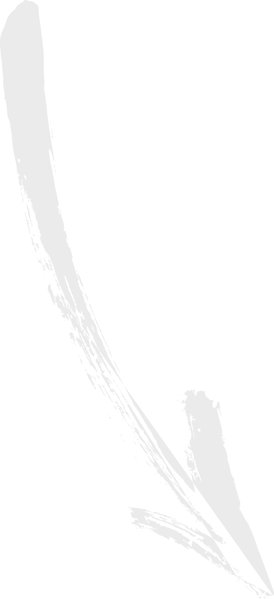 Black background with a large, white, abstract brush stroke diagonal from the top left to the bottom right.