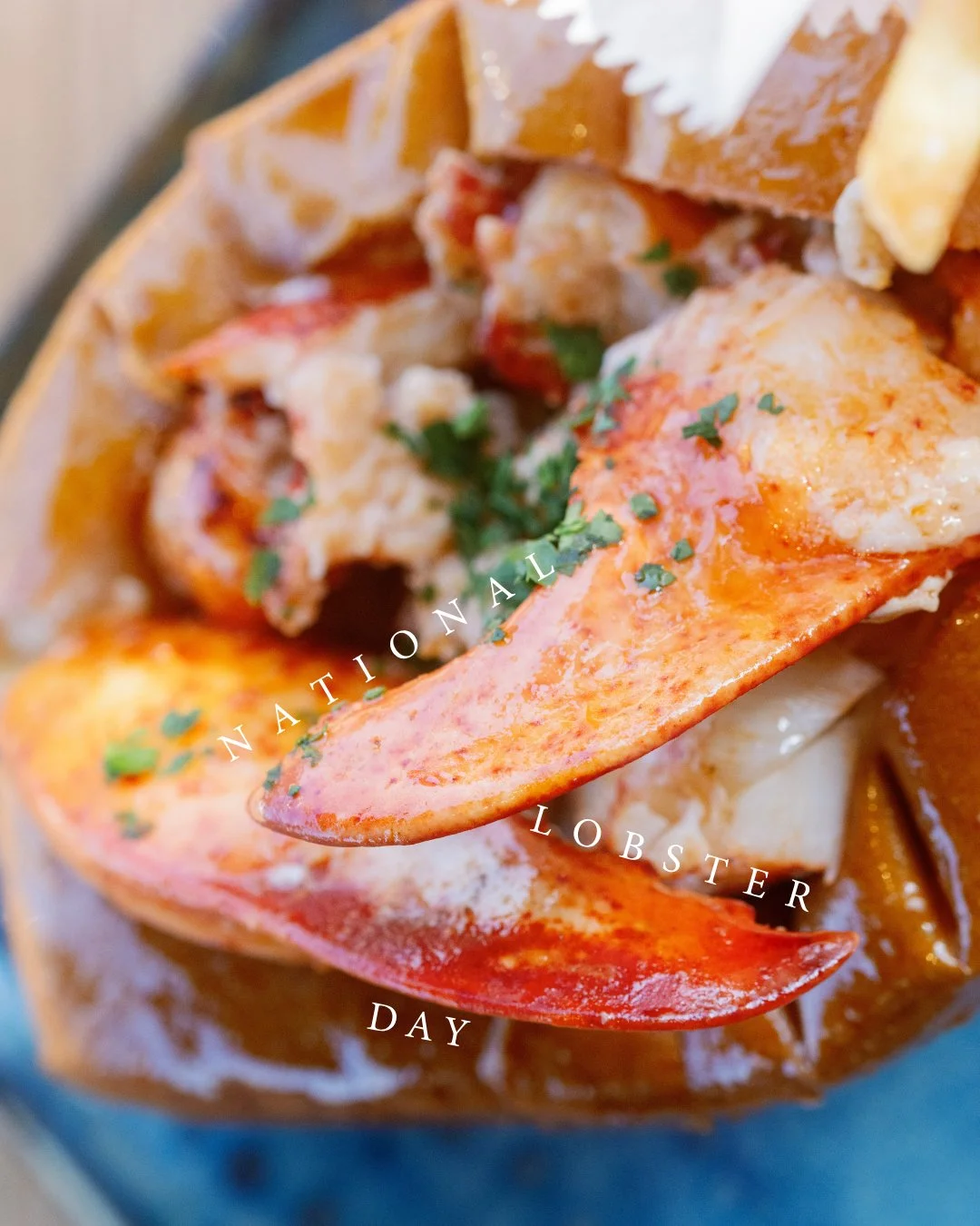 Celebrating National Lobster Day the best way we know how: with a roll worth ordering 🦞