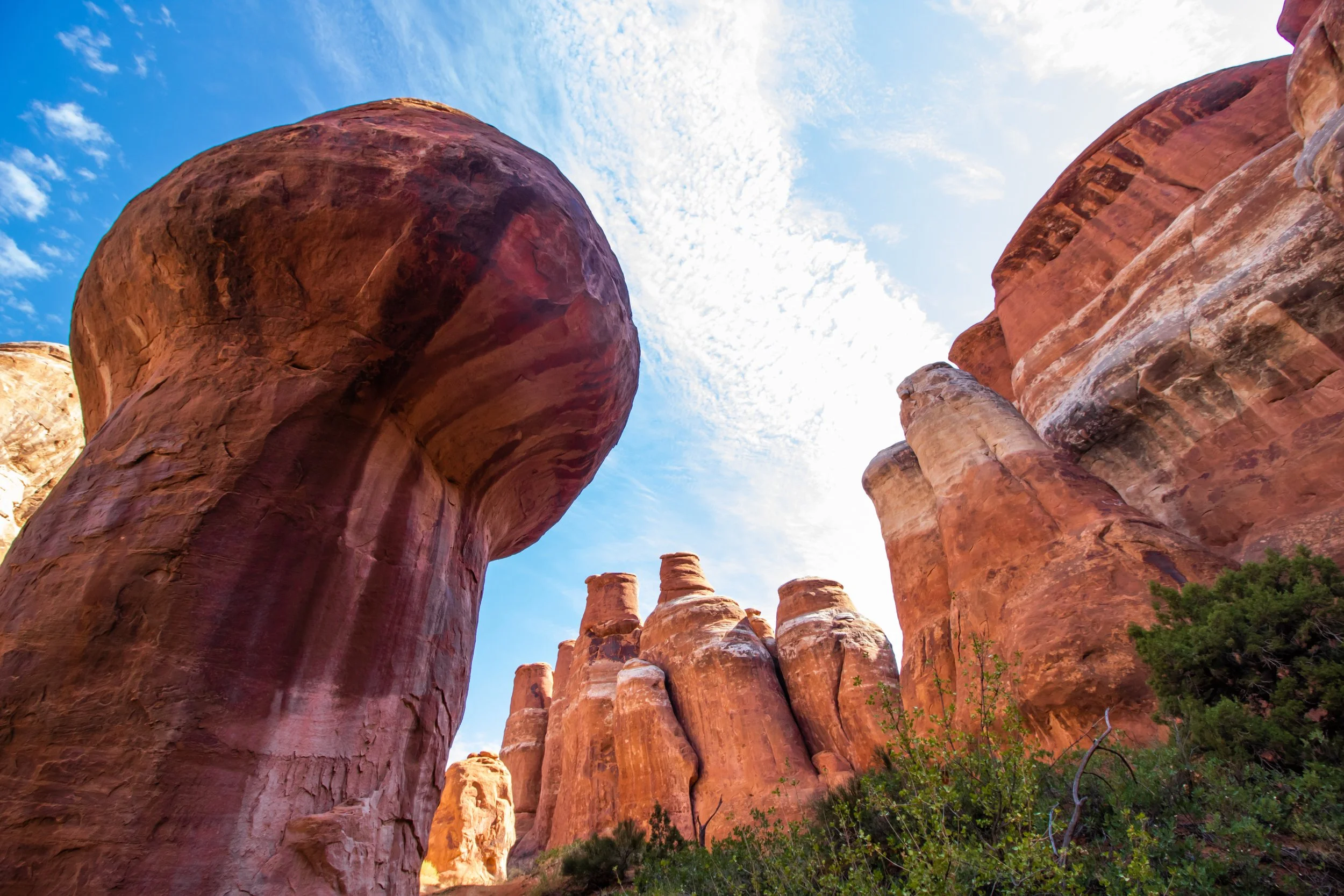 AdobeStock_213329096.jpeg