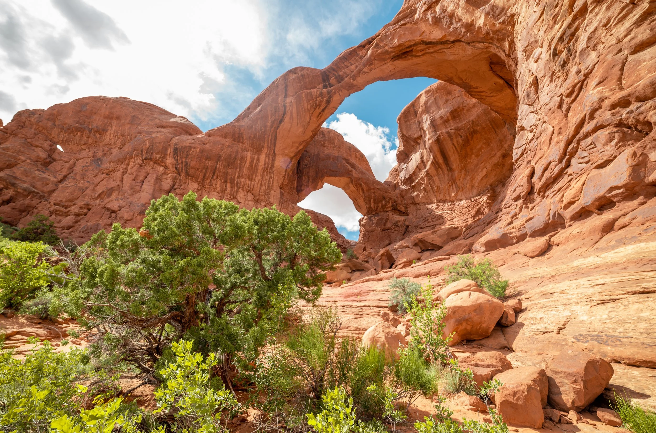 AdobeStock_332046110.jpeg