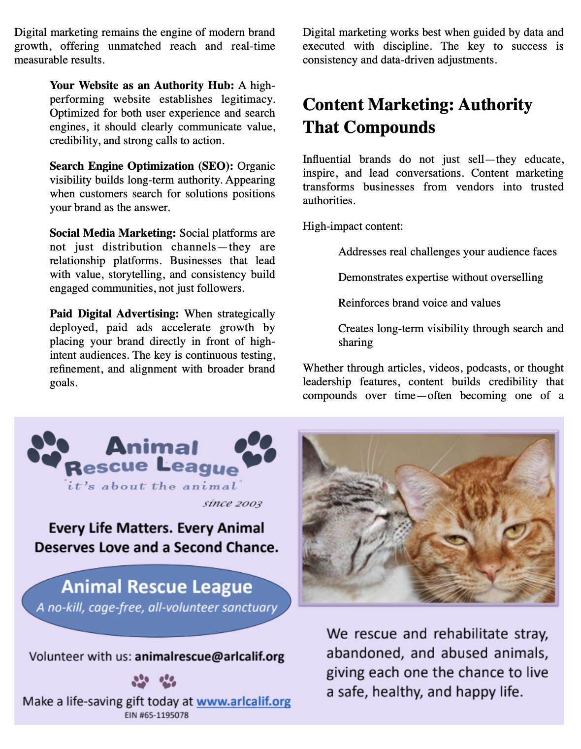 Screenshot 2026-02-23 at 10.41.32 AM.png