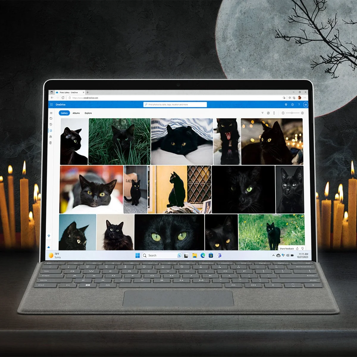 [ONEDRIVE]Black_Cat.jpg