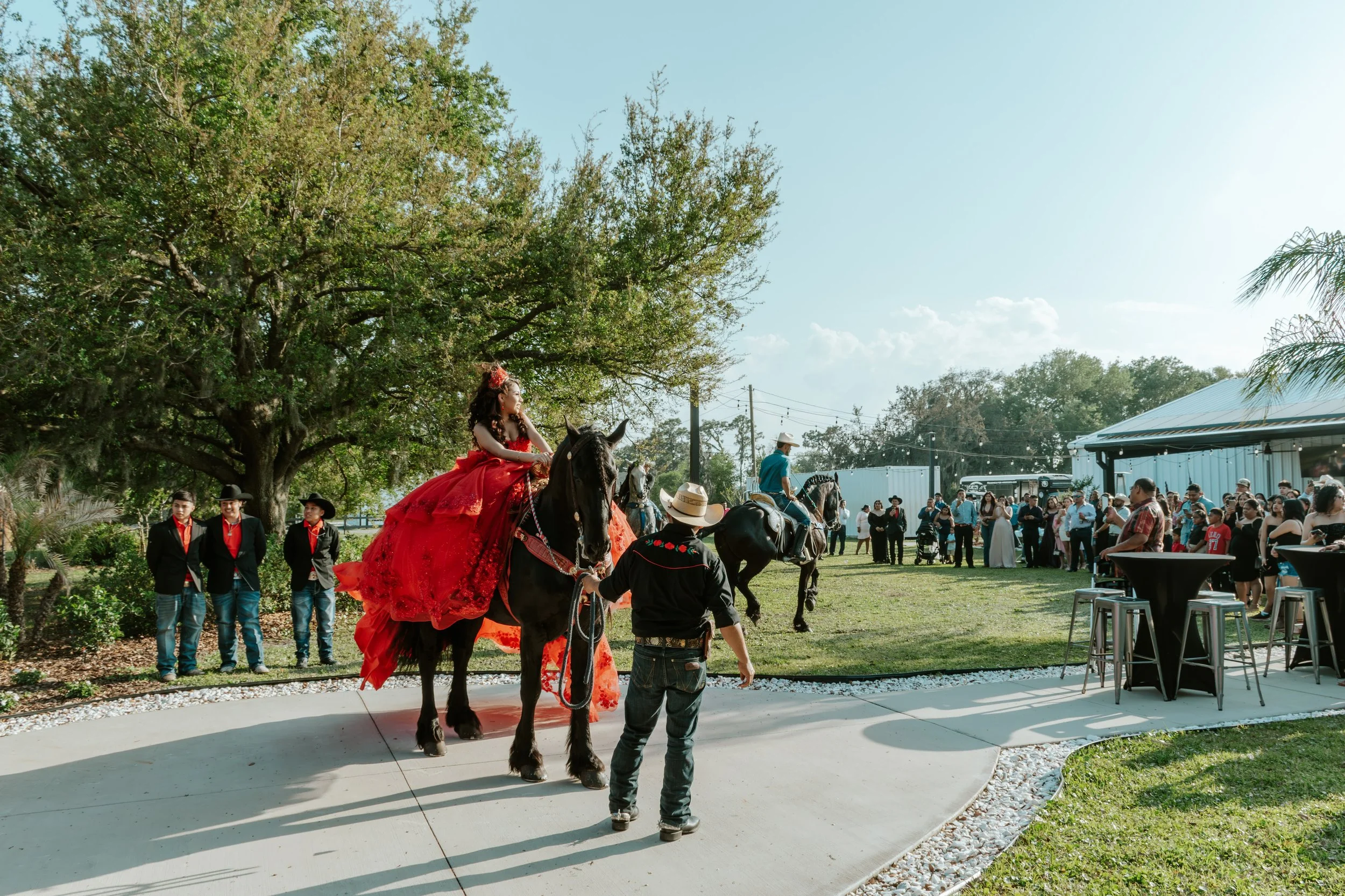 Quinceañera Plant City