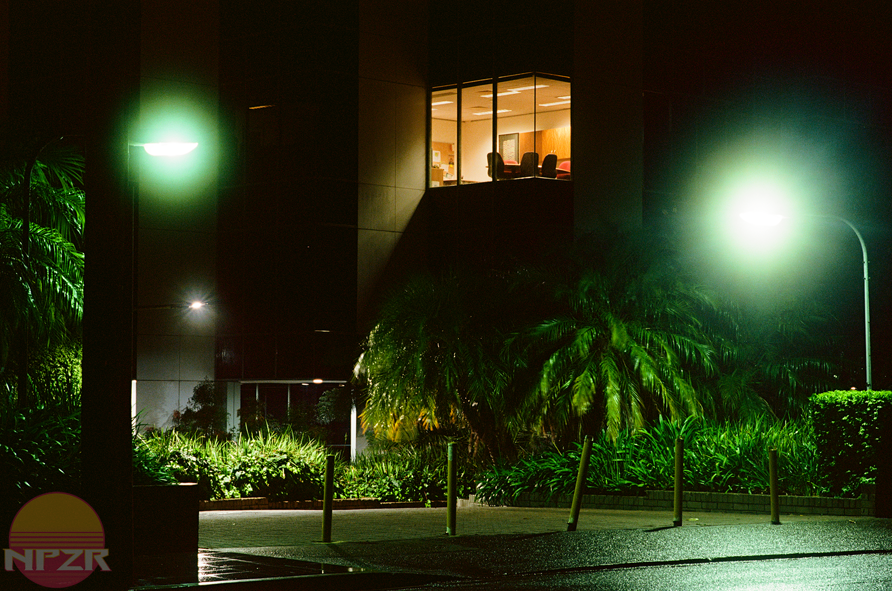 Ektar Walk-5.png
