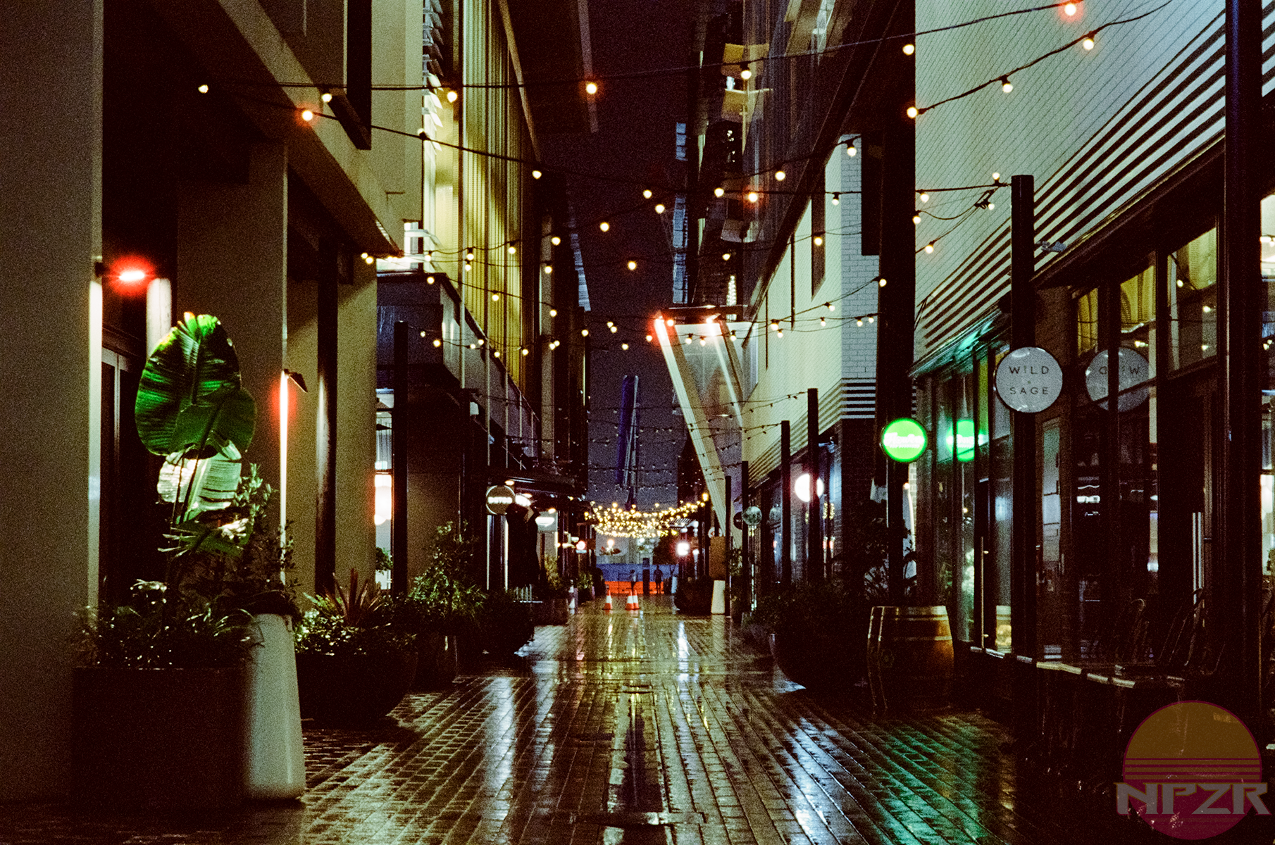 CineStill Walk-33.png