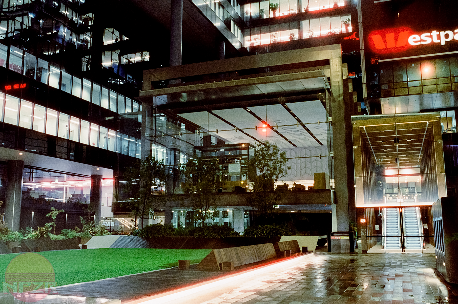 CineStill Walk-18.png