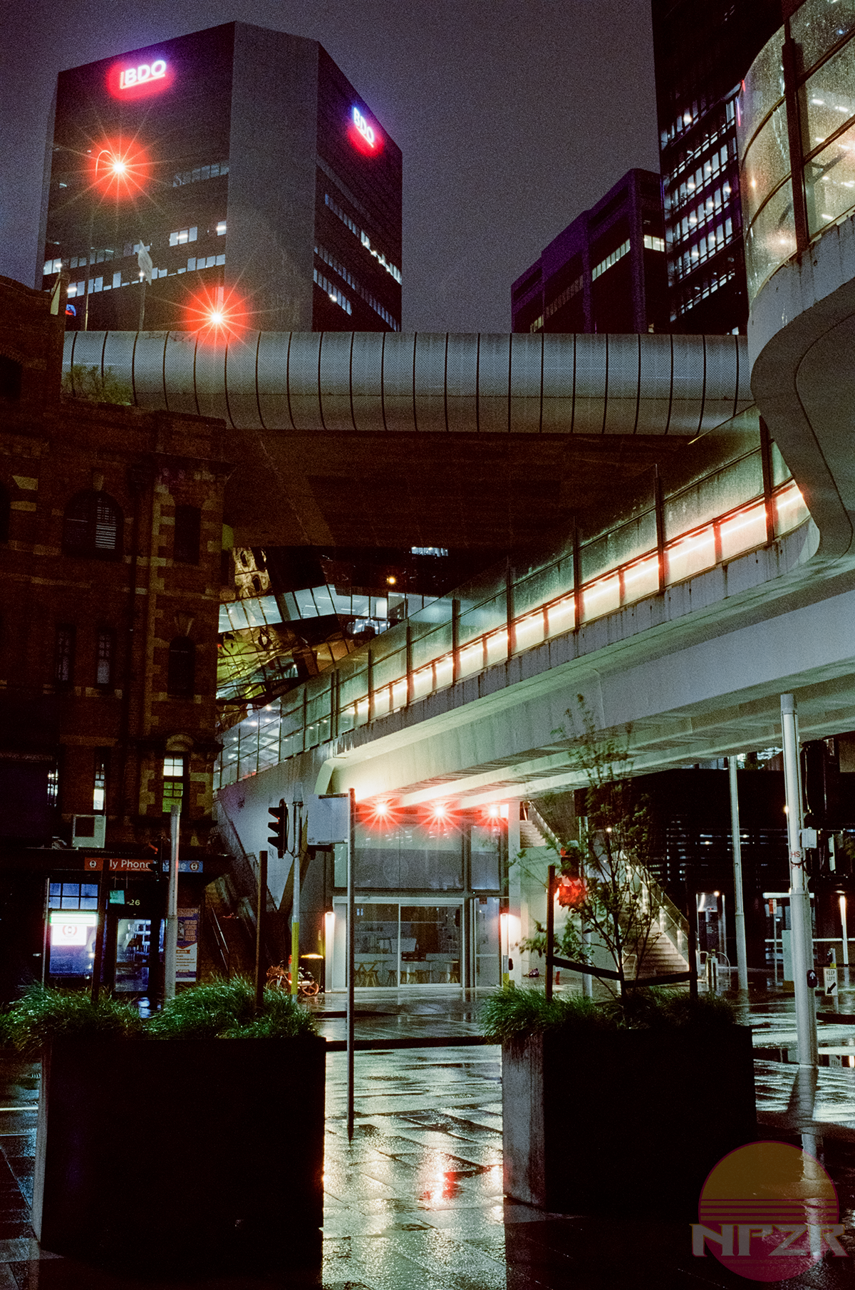 CineStill Walk-31.png