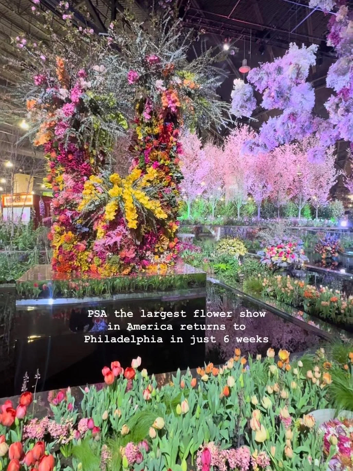 Who&rsquo;s excited!? 
Special thanks to @reevesreedarboretum for the shot. If you haven&rsquo;t been to the Arboretum or the Philly Flower Show, look into getting to both places this year!