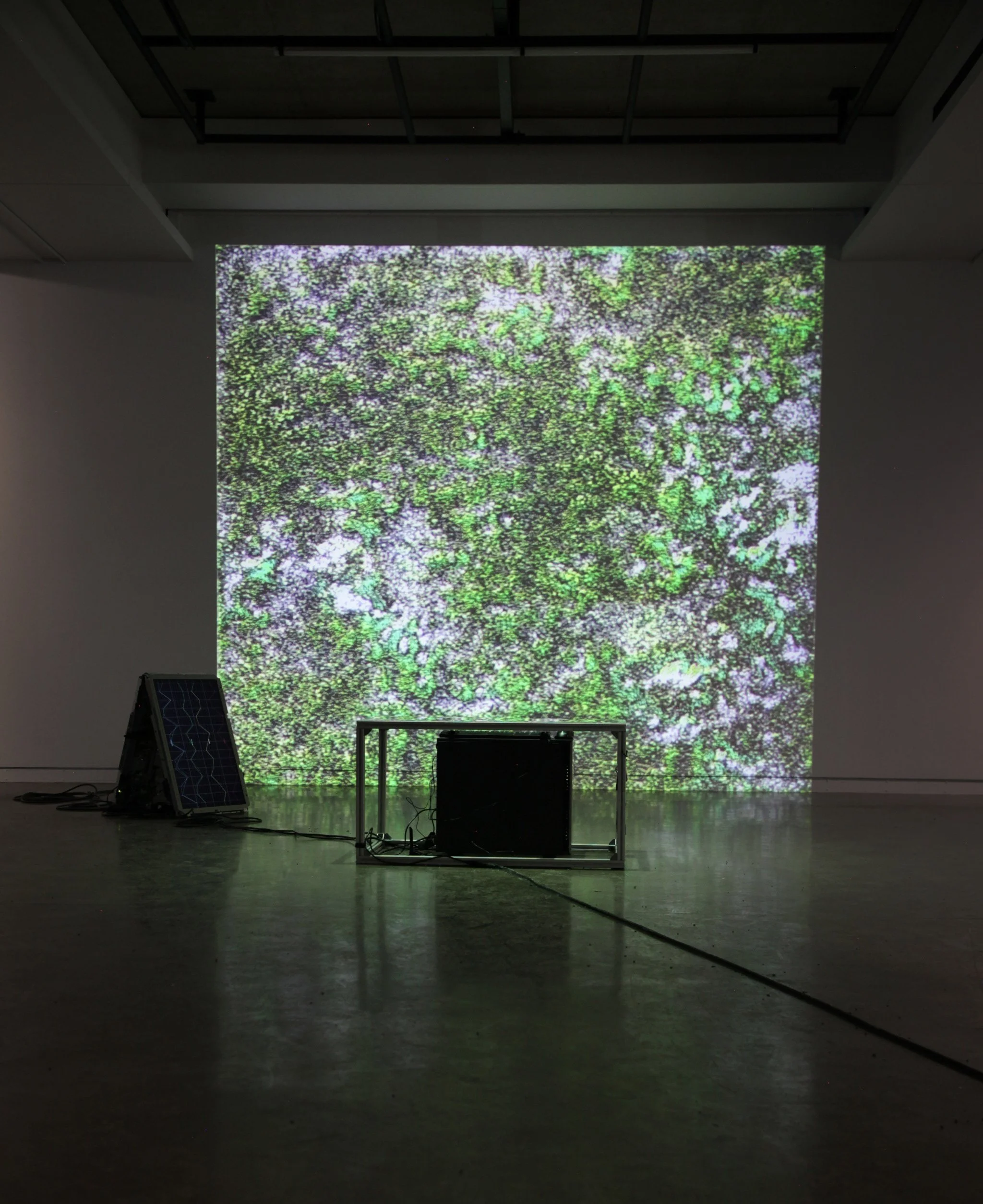 "Common Ground"  |  Marion Schneider  |  2025