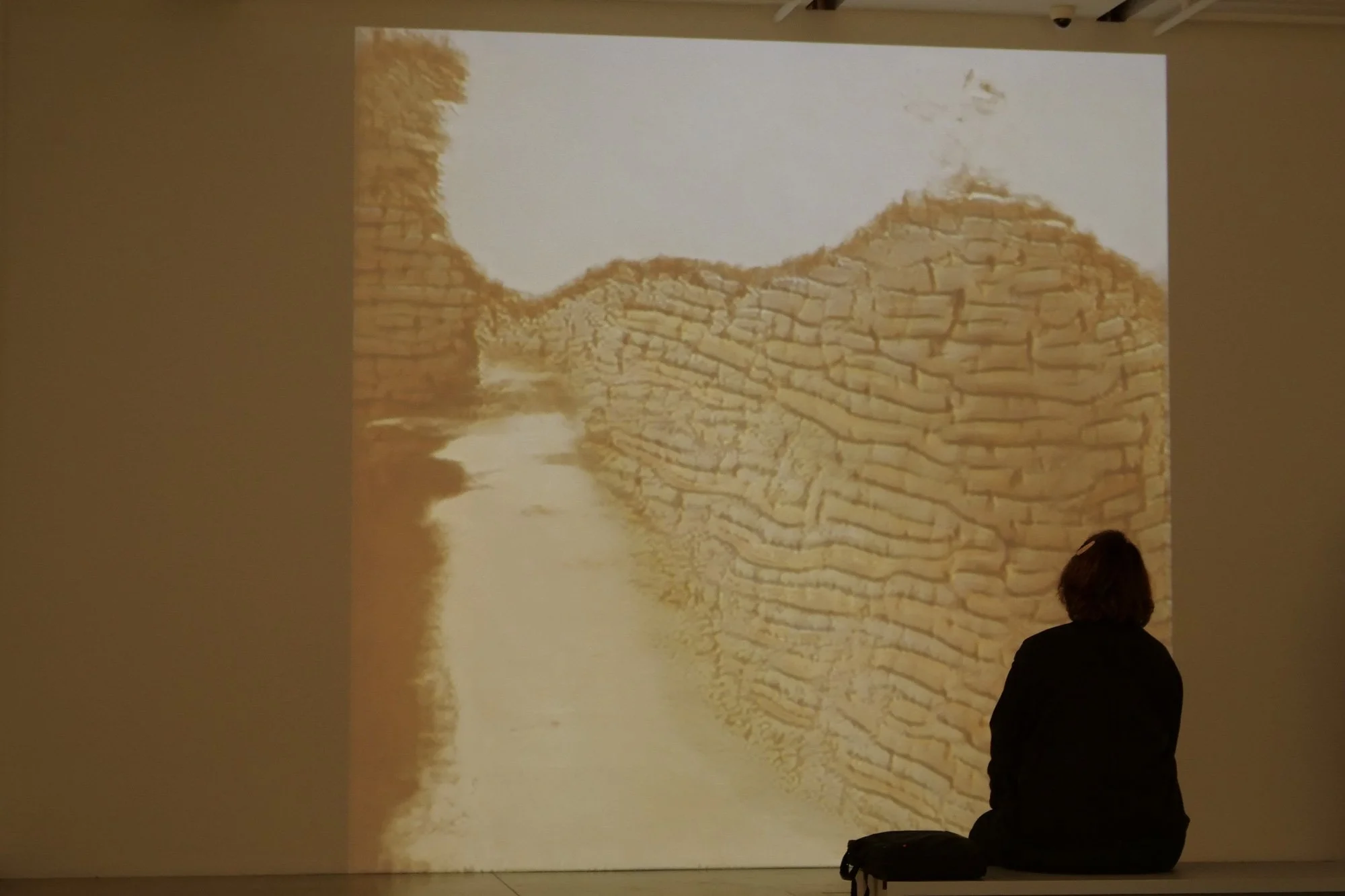 "I Am What I Have Been Trained"  |  Ali Shariq  |  2025