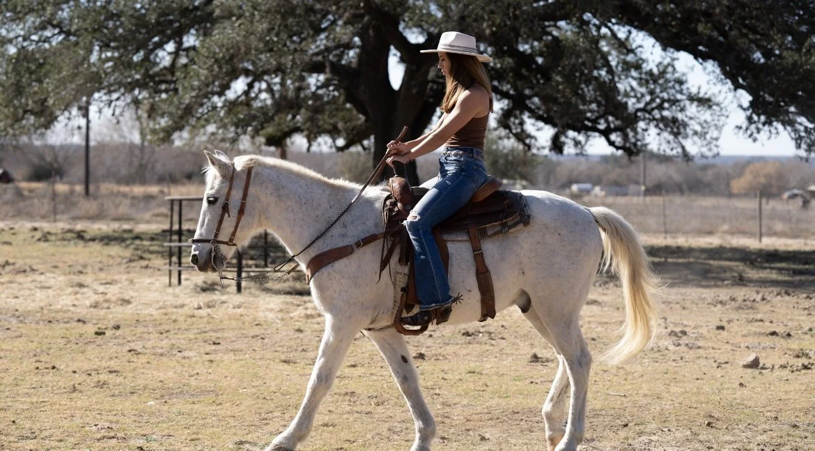 EDM Galleries (11).PNG