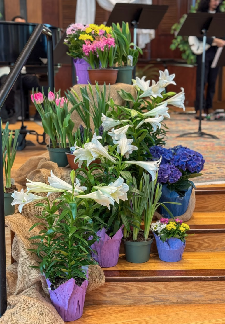 Make a donation toward our Easter Flowers