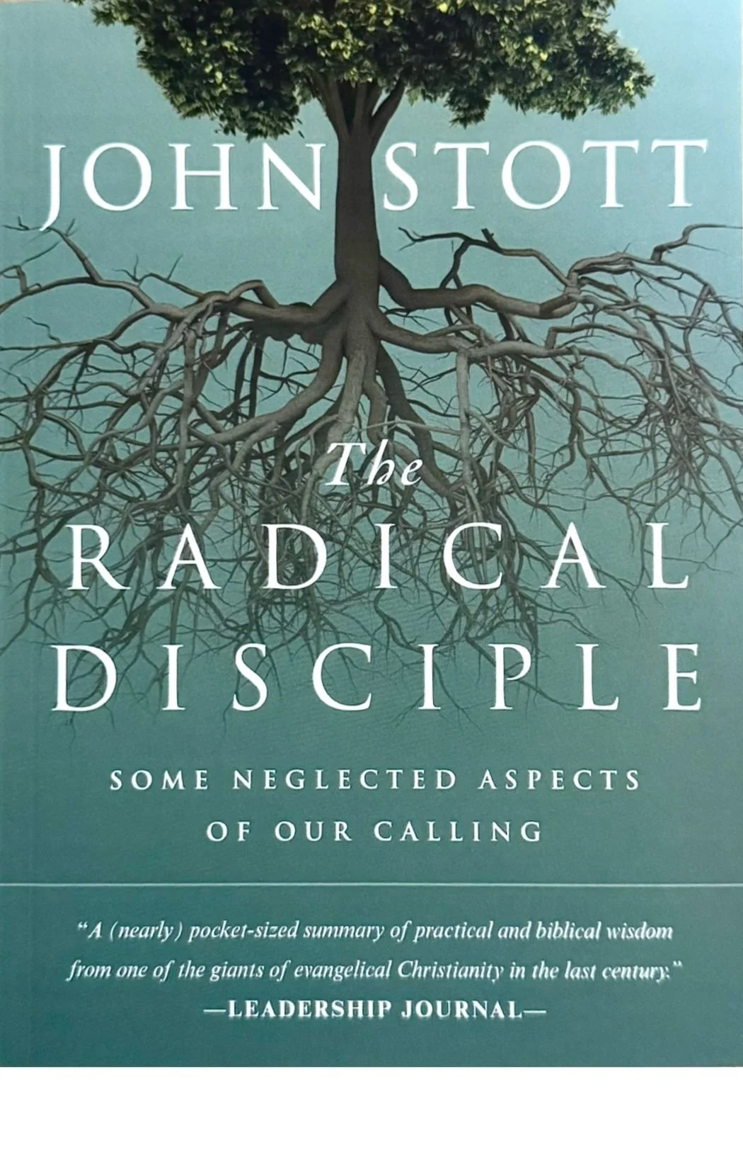 Read the Radical Disciple with us this fall